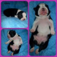/album/ashley/ashley-1-tyden-1-fotor-collage-jpg/